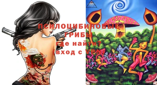 СК Навашино